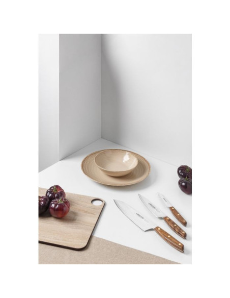 Coffret couteaux 3 pièces - Série Nordika